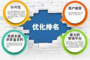 首页排名优化(首页排名优化软件)