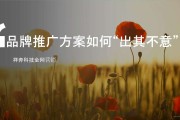 免费推广方案(全面推广方案)