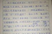 动作描写作文300字(动作描写作文300字)