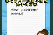 言不由衷什么意思(生活有太多的无奈,让人言不由衷什么意思)