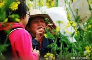 活动过程怎么写
:小学生如何从自己积极参加学校活动的方面写自己的事迹？