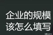 公司规模怎么写
:企业规模怎么填写？