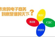 b2c电子商务系统(B2C电子商务系统是什么)