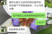 闲鱼转卖
:闲鱼卖二手，大家都碰到过哪些奇葩买卖？