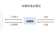 自媒体分类(自媒体分类标准设置)