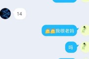 ghs什么意思(ghs什么意思网络语言)