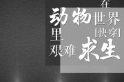 关于宠物的文案(关于宠物的文案300)