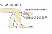 足三里怎么找(足三里怎么找到)