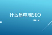 电商网站seo(电商网站seo怎么做)