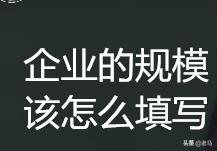 公司规模怎么写
:企业规模怎么填写？