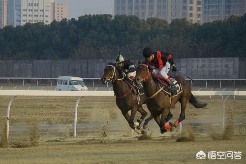 赛马机制
:人才管理中的“赛马机制”是否适用于餐饮业？