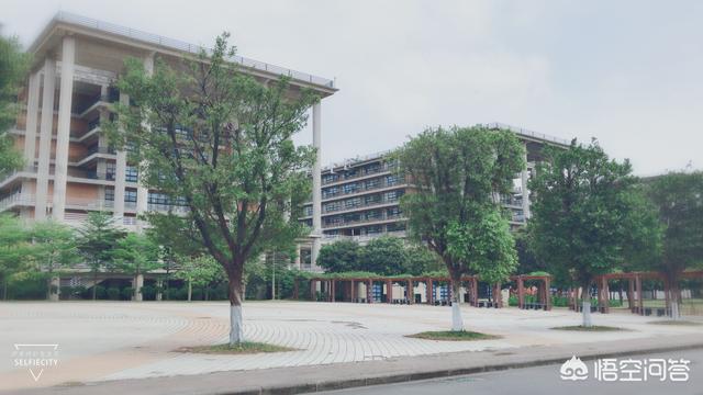 广州一本大学
:广州有哪些一本大学？