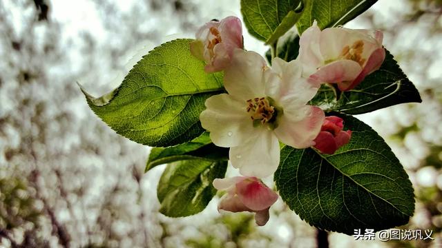 4月的节日
:在你们心目中今天(4月1日)是什么重大日子？