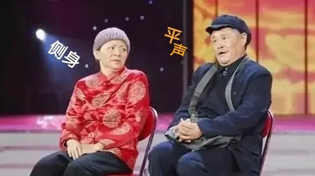 短平快是什么意思
:“平仄”是什么意思？