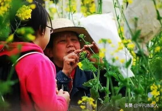 活动过程怎么写
:小学生如何从自己积极参加学校活动的方面写自己的事迹？