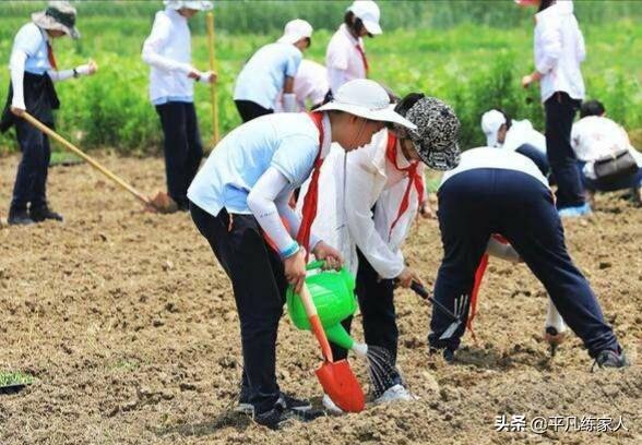 活动过程怎么写
:小学生如何从自己积极参加学校活动的方面写自己的事迹？