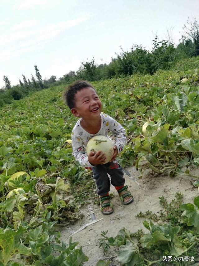 合作营销
:有水果怎么跟电商或平台合作销售?有哪些渠道或方法？