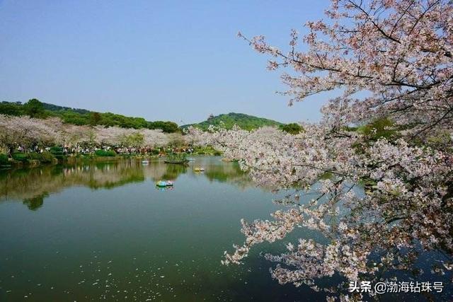 武汉是哪个省的城市
:大家觉得武汉是一个什么样的城市，这个城市有哪些旅游景点？