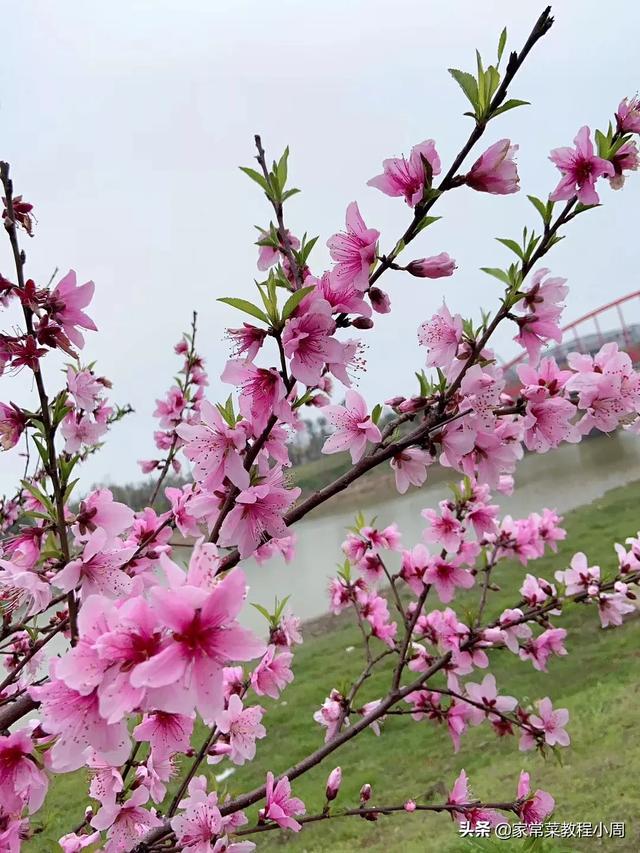 空气炸锅工作原理
:请问空气炸锅安全吗？连续做食材不能超过多久啊？