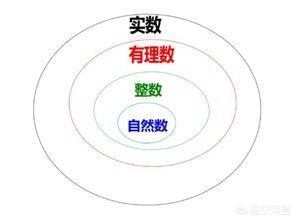 奇数和偶数是什么
:质数、奇数，合数和偶数分别是什么？