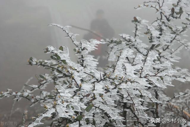 惊蛰寓意
:老人说“惊蛰吹起土，倒冷四十五”，什么意思？今年惊蛰后冷吗？