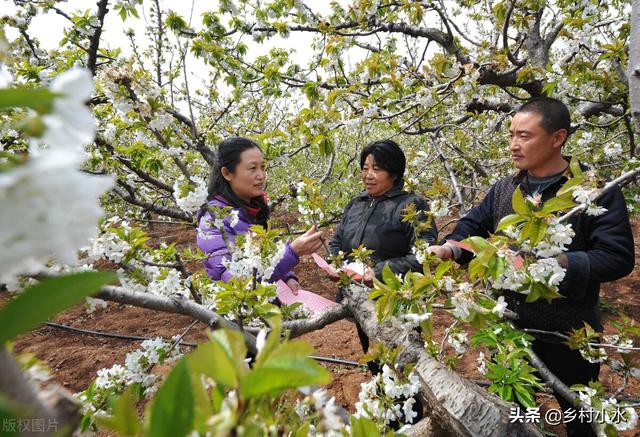 惊蛰寓意
:老人说“惊蛰吹起土，倒冷四十五”，什么意思？今年惊蛰后冷吗？