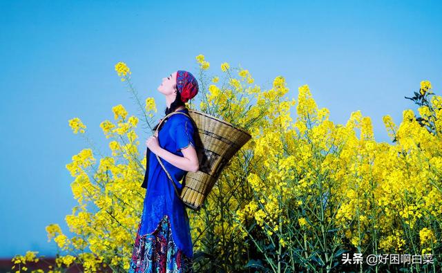 陌上花是什么意思
:陌上花开是什么意思？