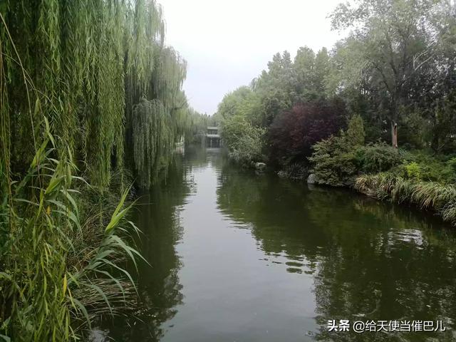 大明湖在哪里个城市
:杭州西湖与济南大明湖同为免费景区，哪一个更值得去？