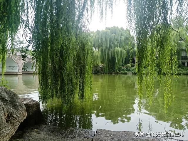 大明湖在哪里个城市
:杭州西湖与济南大明湖同为免费景区，哪一个更值得去？