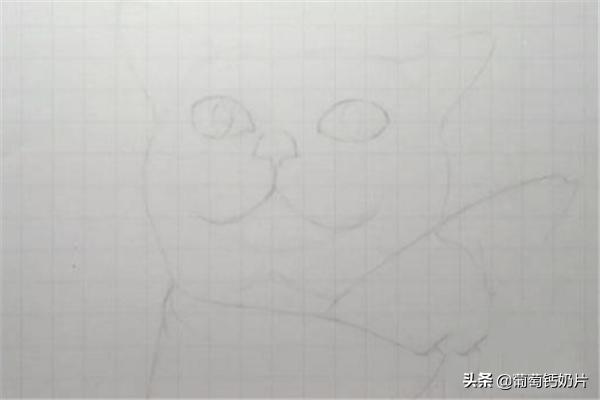 用方格纸画画
:可爱的猫咪用格子本怎么画？