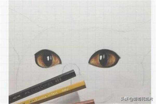 用方格纸画画
:可爱的猫咪用格子本怎么画？