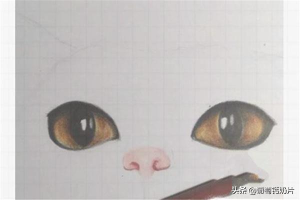 用方格纸画画
:可爱的猫咪用格子本怎么画？