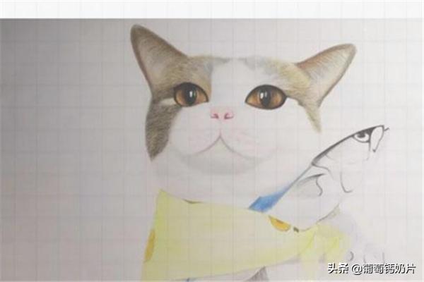 用方格纸画画
:可爱的猫咪用格子本怎么画？