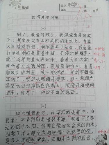 仿写作文300字