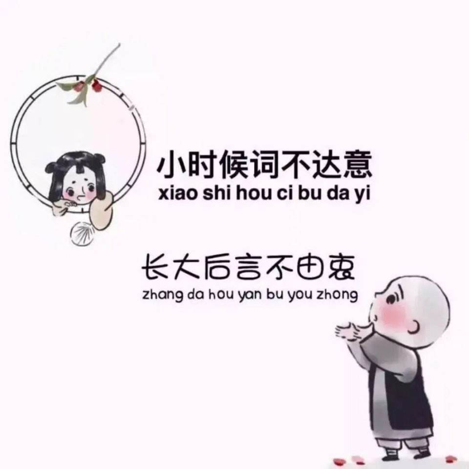 言不由衷什么意思(生活有太多的无奈,让人言不由衷什么意思)