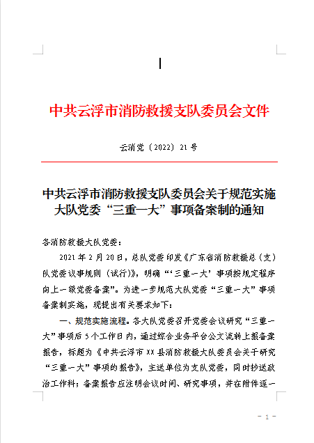 三重一大是指什么(三重一大是指什么大额资金使用)