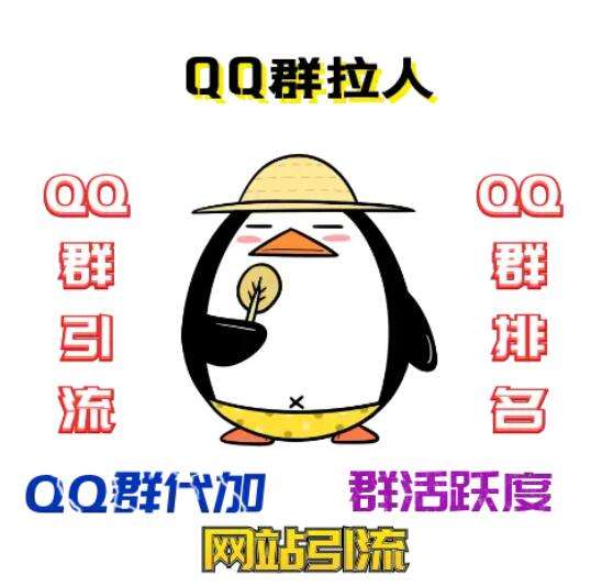 qq群排名(群排名更新时间)