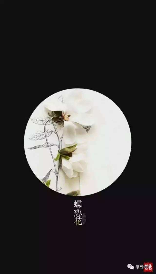 词牌名有什么(词牌名有什么规定)