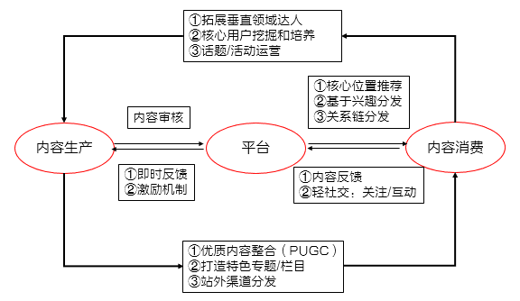 ugc运营是什么(ugc运营是什么工作)