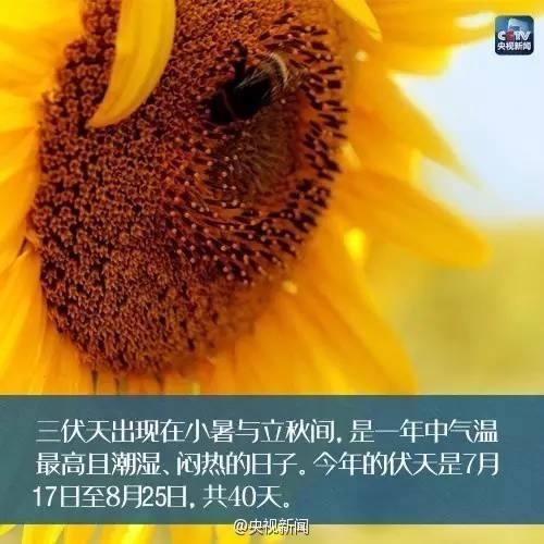 几号入伏(几号入伏?伏天一共多少天?)