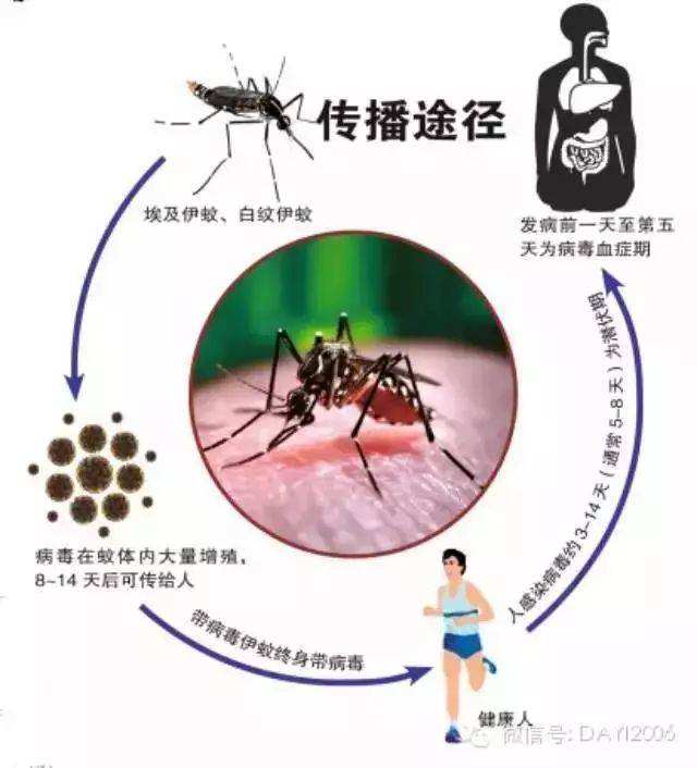 传播方式(传播方式和传播途径的区别)