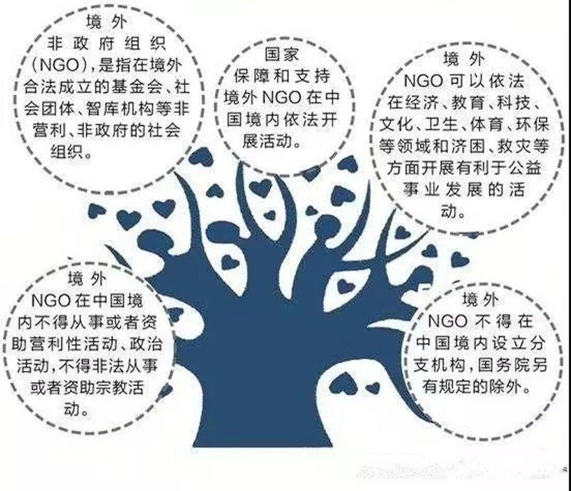 ngo组织是什么意思(npo组织是什么意思)