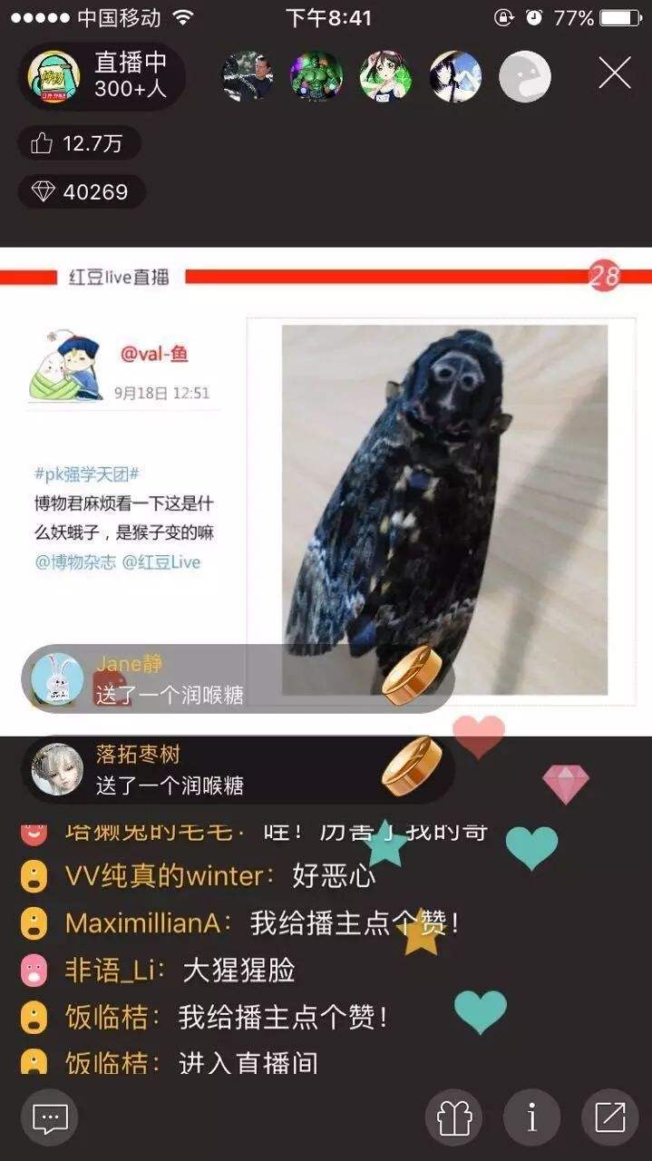 什么是大v(什么是大豆)