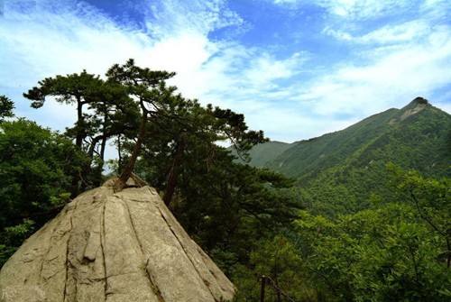 合肥景点(合肥景点一日游)