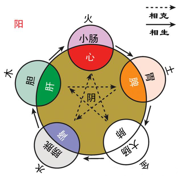 肝胆相照什么意思(肝胆相照意思是什么)