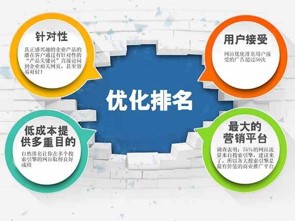 首页排名优化(首页排名优化软件)