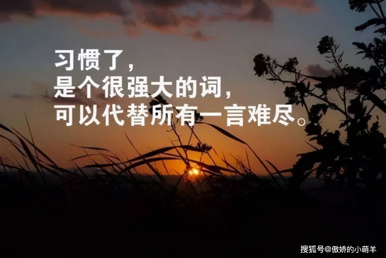 什么是心灵鸡汤(什么是心灵鸡汤的句子)