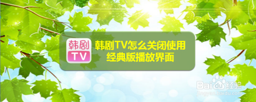 韩剧tv电脑版叫什么(韩剧tv有电脑版的吗?)