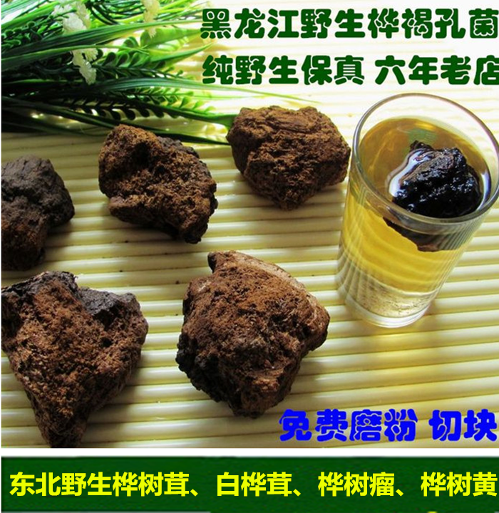 白桦茸的功效与作用(桦褐孔菌白桦茸的功效与作用)