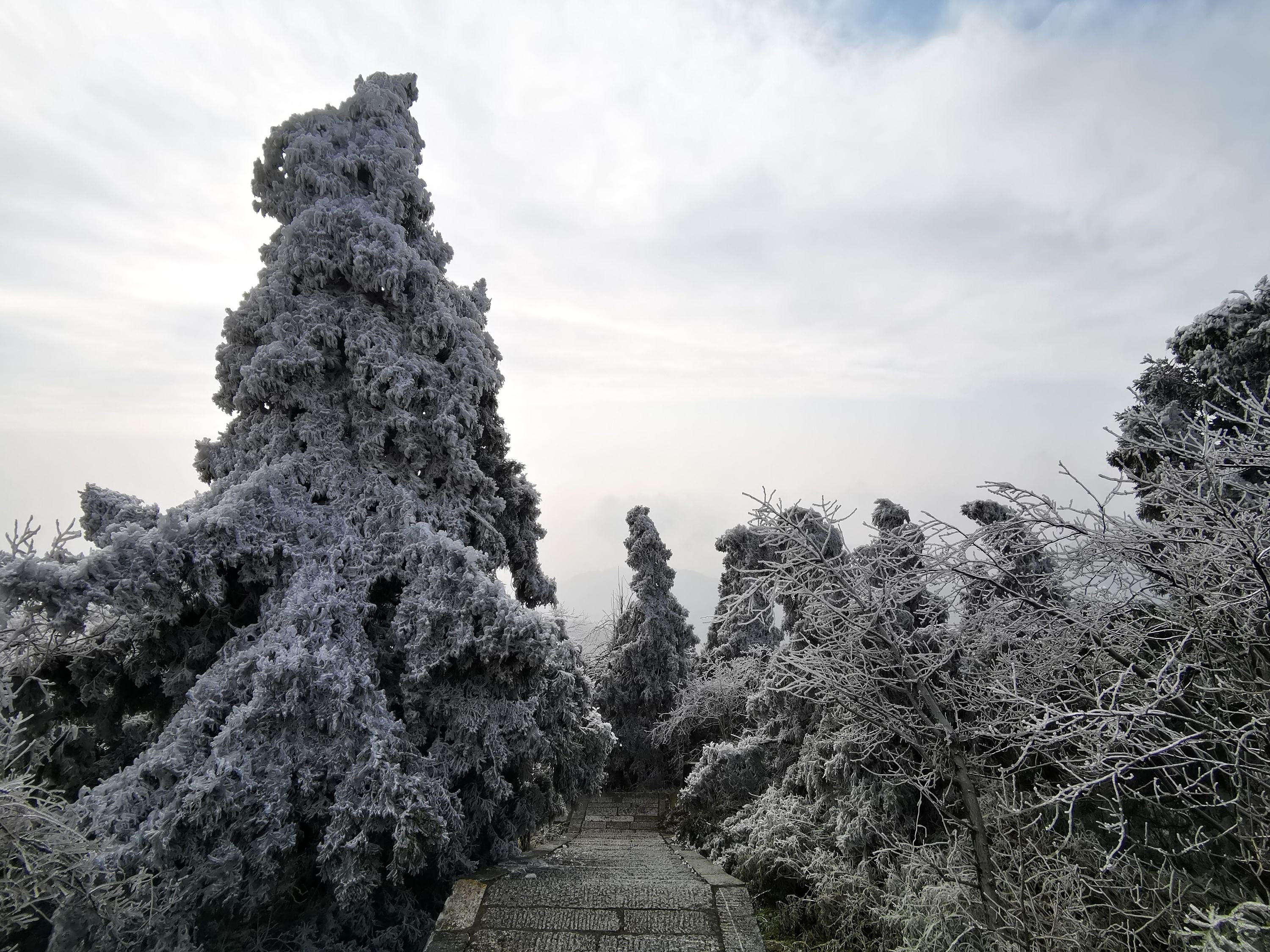 衡山在哪里(恒山在哪里个省哪个市哪个县)